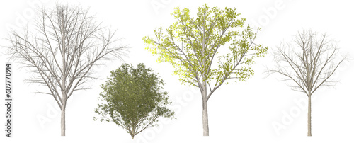 set of watercolor hand drawn paintings with asset illustrations of green tree, deadwood isolated on white background. High resolution transparent PNG, random 4 shape of tree 