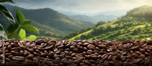 Cup of Coffee beans farm special fruit sunlight caffeine fire cozy wood ranch plant plantation mocha arabica seeds roasted. Copyspace image. Square banner. Header for website template