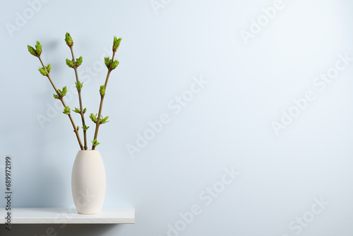 Branches with green spring buds in vase on shelf near blue wall with text space