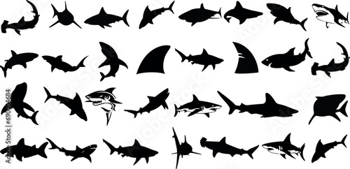 Shark silhouette vector illustration, various species of sharks, great white, hammerhead, bull shark, tiger shark, ocean predators, sea life, marine biology, underwater, fish, dangerous, carnivore