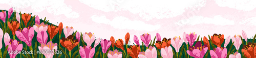 Field flowers landscape panorama. Meadow floral plants, spring nature background. Gentle summer blooms, blossomed wildflowers, beautiful gorgeous crocuses, wide banner. Flat vector illustration