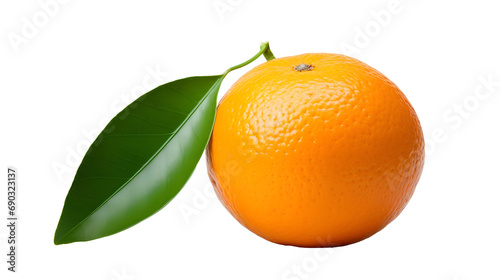 Close up photo of fresh and tasty orange fruit without background. Transparent PNG inside