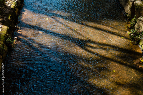 A famosa folha de bordô, que tem uma característica peculiar no outono sendo levada por um pequeno rio