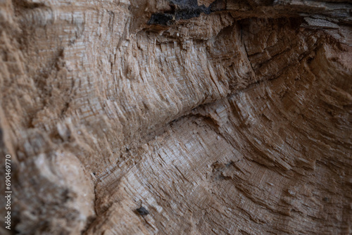 corteza de madera talada irregular