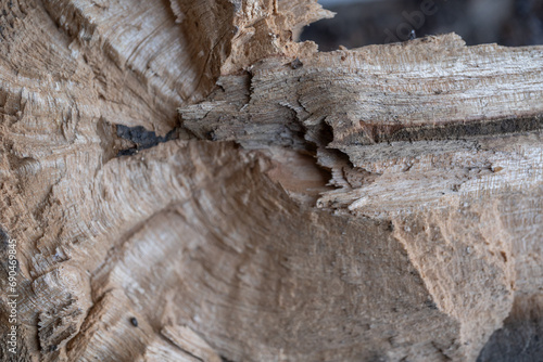 detalle Textura de corteza de madera talada irregular