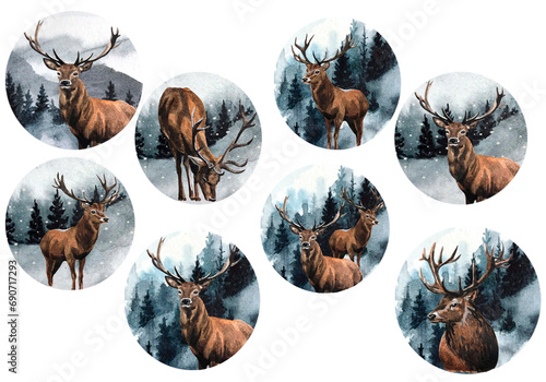 Watercolor Deers Illustration