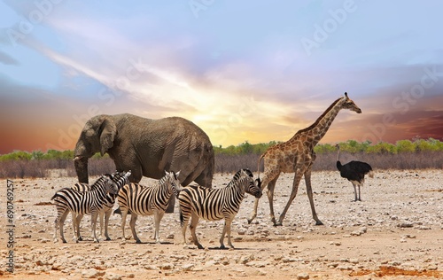Elephant, Giraffe and Zebra standing close together on the dry arid African plains