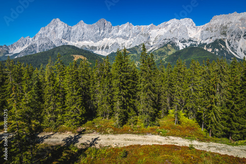 Summer scenery with high mountains and green pine forest, Austria