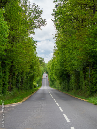 Carretera con árboles verdes a los lados y a lo lejos un coche que se acerca rápidamente un día nublado 