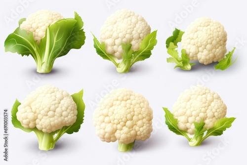Collection set of cauliflower isolated on transparent or white background