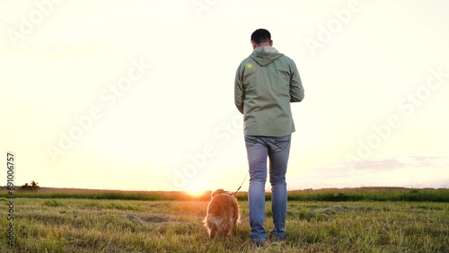 Pet owner walks small cocker spaniel dog on empty mown field at sunset on skyline young man with dog companion walk in rural nature park man with pedigreed dog in evening meadow on summer vacation