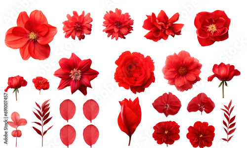 Set of different red flowers (hibiscus; tulip; peony) isolated on transparent background. Top view