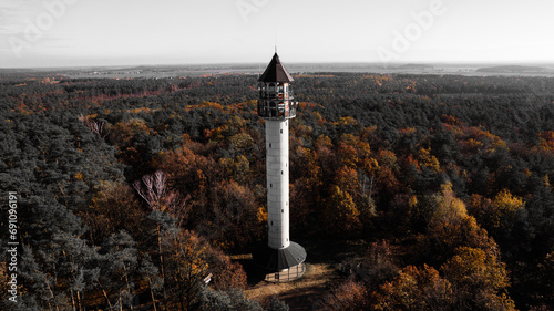 Wieża widokowa w jesiennym europejskim lesie.