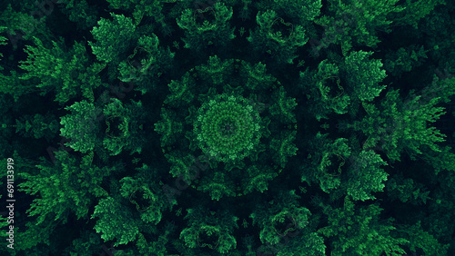 Nature kaleidoscope. Green mandala. Forest foliage texture ethnic round symmetrical fractal ornament on dark black abstract illustration background.