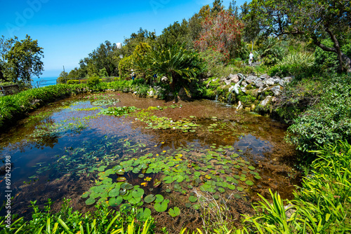 La Mortella Garden in Isola d'Ischia - Italy