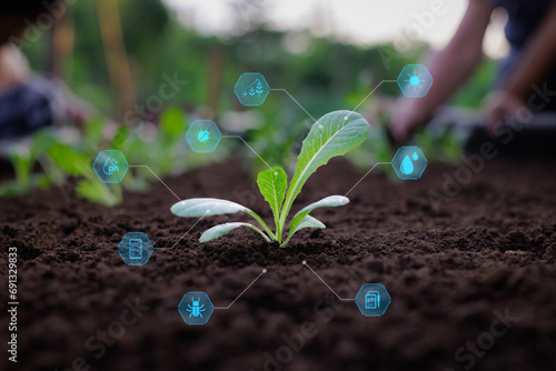 Young sprout growing in farm with plant growth factor icon. Smart farming, modern agricultural technology, digital farming, sustainable development, Agriculture and Ecology concept.