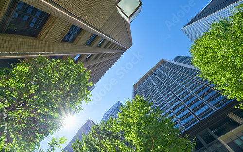 高層ビルを見上げる緑のあるオフィス街の風景
