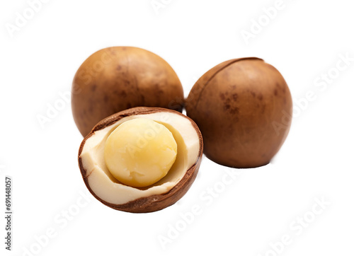 Macadamia nuts isolated on transparent background