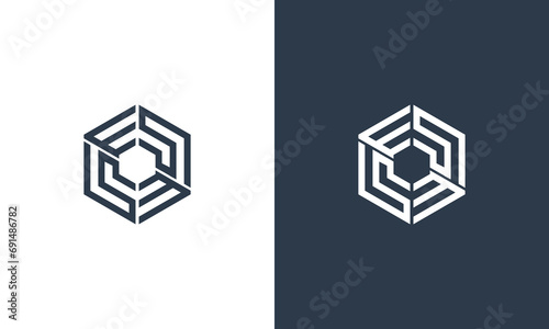 initials s and e hexagon logo design vector