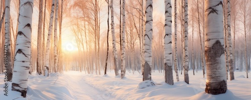 Golden hour in a snowy birch forest, winter landscape