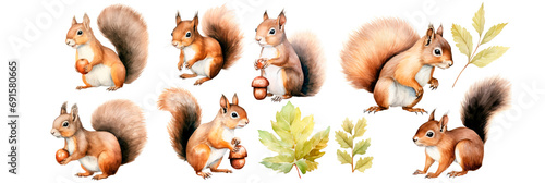 Watercolor Set of squirrel and acorn walnut hazelnut, isolated on transparent background