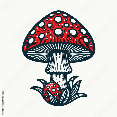 vector illustration of amanita mushroom