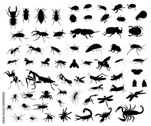 Big set of insect silhouettes. Vector illustration.