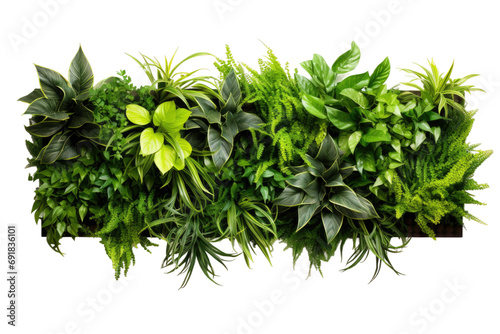 Green Serenity Elevate Your Atmosphere with ZenGrove Plant Wall isolated on transparent background