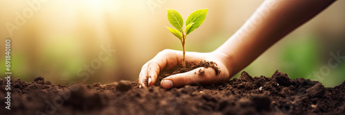 hand holding New sprout in field.Human hands taking care of a seedling in the soil