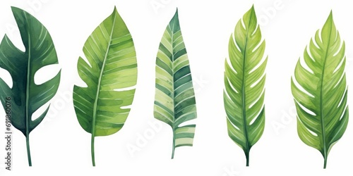 Watercolor Tropical Leaves Set, Palm leaf, banana leaves, fern. Watercolor illustration. white background, Generative AI
