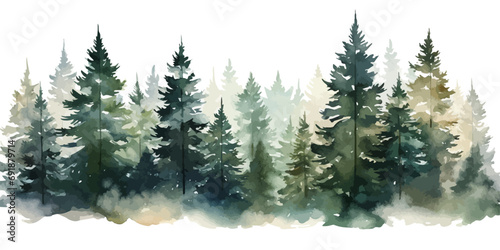 Christmas trees Vector watercolor illustration,Forest, fir trees, pine trees, Forest watercolor illustration,ink painting
