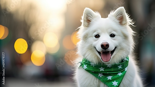 Image of a festive dog in a Saint Patrick's Day bandana, with a defocused background of a bustling outdoor celebration 