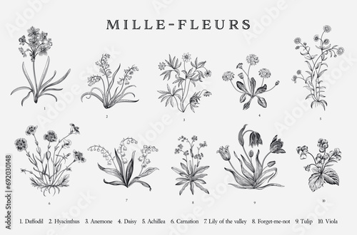 Millefleurs. Set. Vintage vector botanical illustration. Black and white