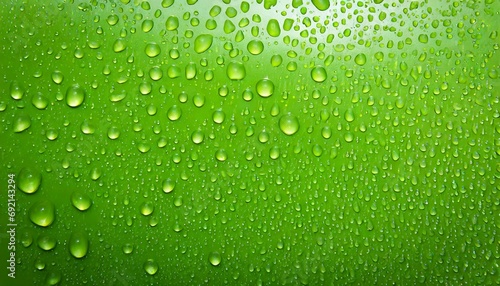 the water drop on fresh green background