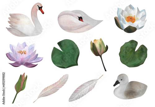 Delicate watercolor isolated white swans purple waterlily bud leaf feather bird cub For sticker baby design wedding invitation 2024 postcard poster spa yoga zen decor pattern wallpaper wrapping Floral