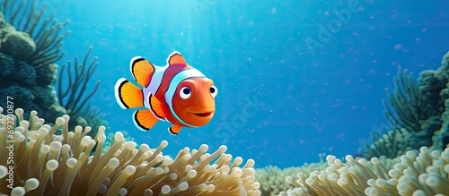 An anemone fish in front of his host anemone. Copy space image. Place for adding text or design