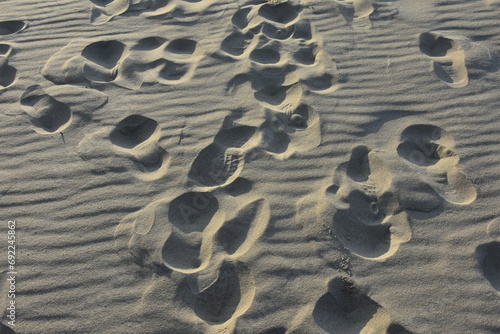 śłady butów człowieka na nadmorskim piasku