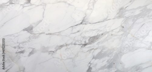  a white Carrara statuaries marble texture background with an HD camera, capturing the fine details and subtle variations that make each slab a unique masterpiece of natural art.
