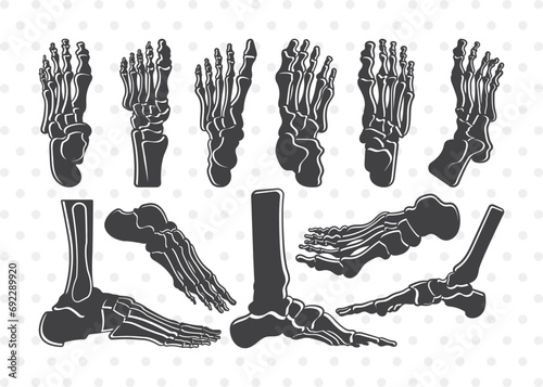 Human Foot Anatomy Silhouette, Human Foot Anatomy SVG, Foot Anatomy Svg, Foot Bones Svg, Foot Anatomy Bundle