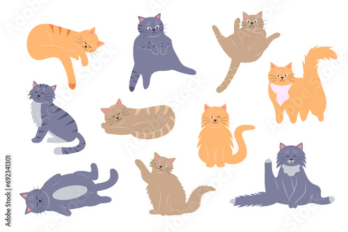 Fat funny cats set. Cartoon cat characters in different poses. Cute pet collection.