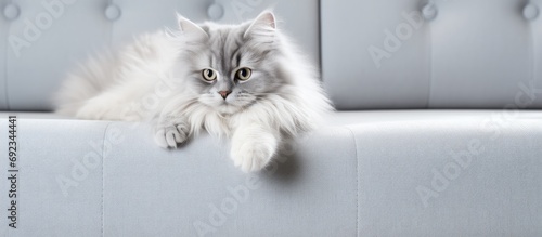 Gray matting sofa handle marred by white cat claws.