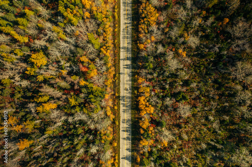 Aerial Perspective on Fall