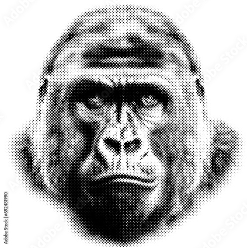 Gorilla face gesture in halftone dots texture, isolated black and white vector design element