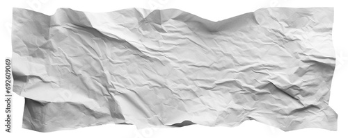 Piece of crumpled blank white craft paper, cut out