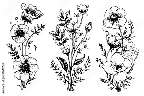 Hand drawn ink sketch of meadow wild flower set. Engraved style vector illustration