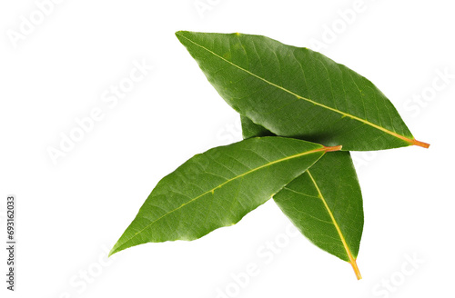 Fresh green bay leaves isolated on white, top view 