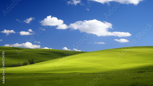 landscape with green grass and sky wallpaper with copy space for text