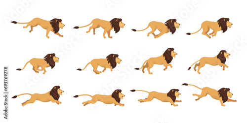 Lion Run Cycle 2d Animation Reference High Quality Customizable Vector Illustration