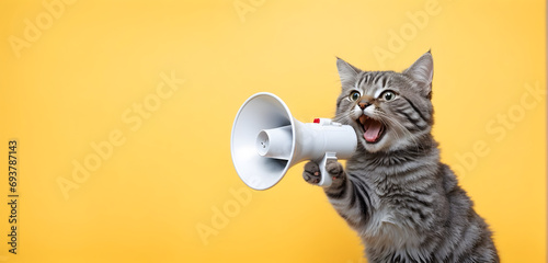 A funny cat holding a loudspeaker and screaming