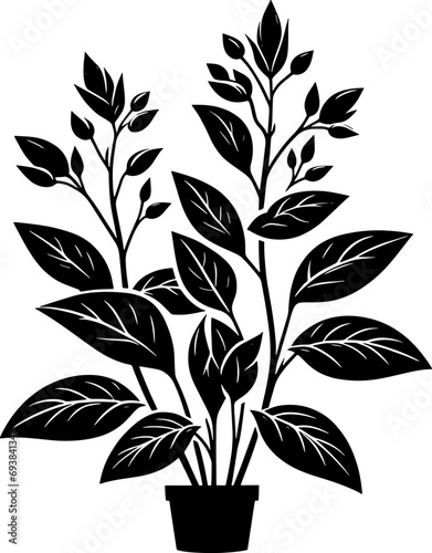Commelinaceae plant icon 6